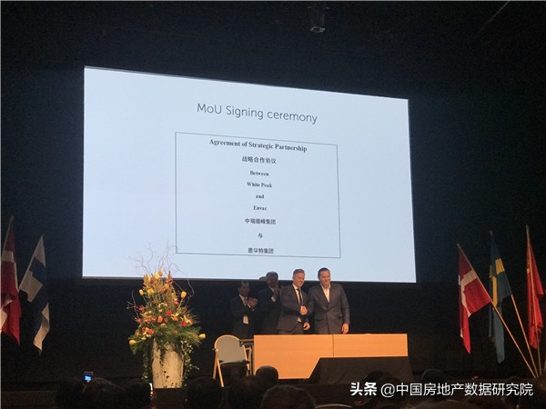 中瑞鼎峰集团有限公司,中瑞鼎峰瑞典