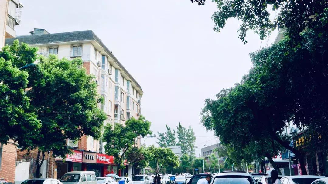 如果可以，请把我留在温江大学城！