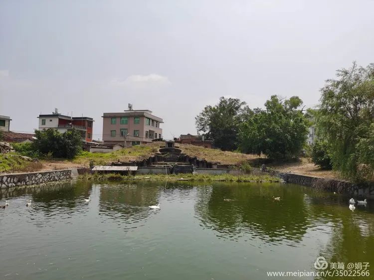 长泰县戴氏族谱,漳州市长泰县戴氏