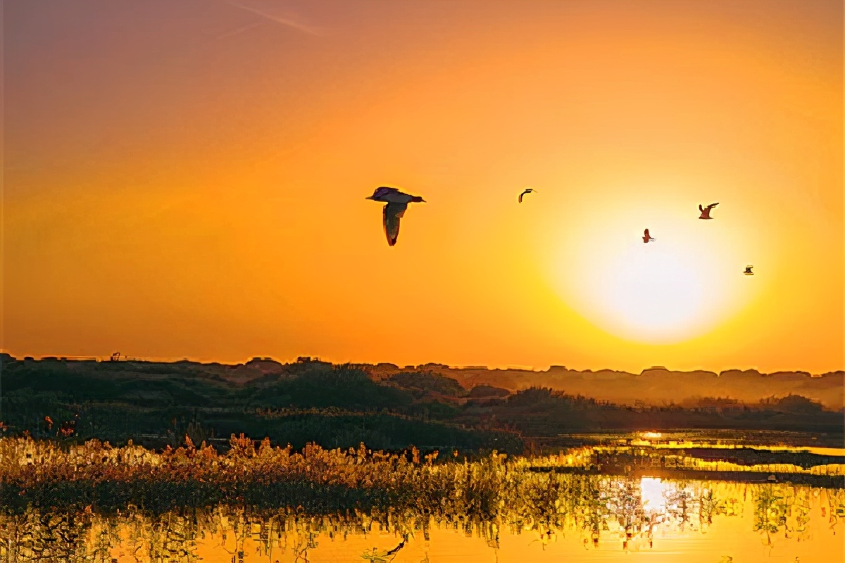 白朴的天净沙秋思和马致远的区别,白朴和马致远为什么都写了天净沙