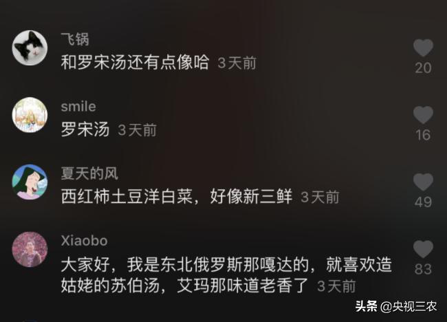 俄罗斯人最爱的中国美食,俄罗斯人最爱的中餐