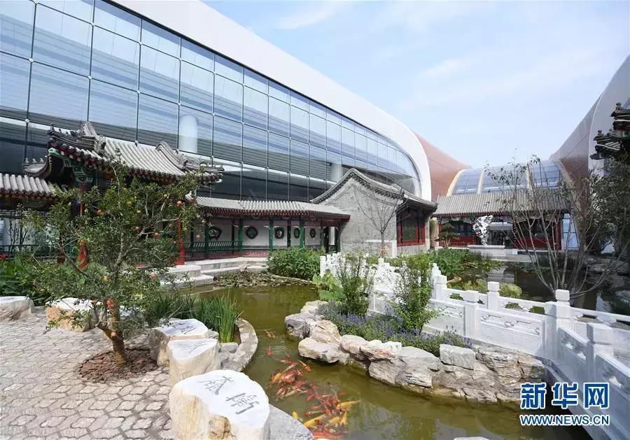 这牛太厉害了,这哥们太牛了