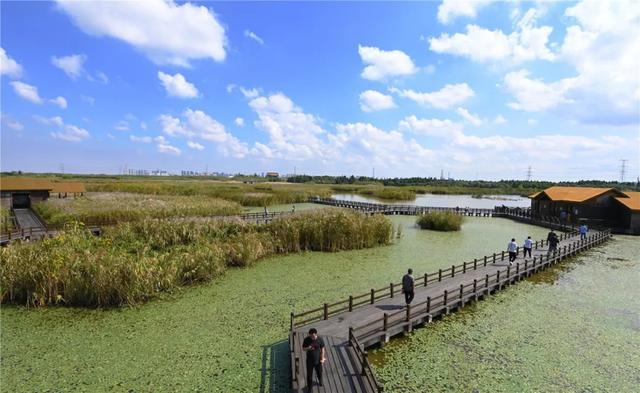 住杭州湾舒服吗,杭州湾新区适合住吗