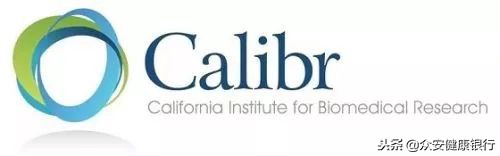 CAR-T疗法适用于哪些癌症,前景可观的car-t疗法