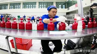 古井“染酱”，能否打出王炸？