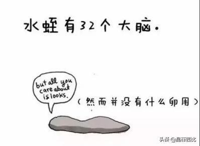 8个关于动物的冷知识,你不知道的二十条动物冷知识