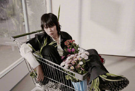 窦靖童代言苹果,窦靖童代言pico