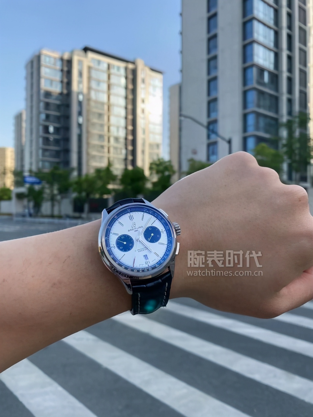 劳力士爱彼碳纤维表,劳力士爱彼江诗丹顿