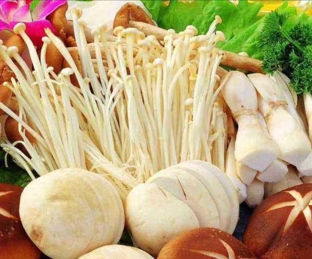 温泉亲子游济南哪里好玩,济南景点攻略夏天亲子乐园