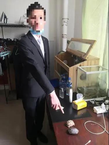 “金”屋藏“娇”？五金店竟敢偷卖这些精灵宝贝！