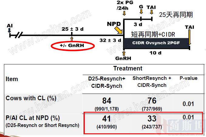 康奈尔大学JulioGiordano:如何通过技术整合优化繁殖性能