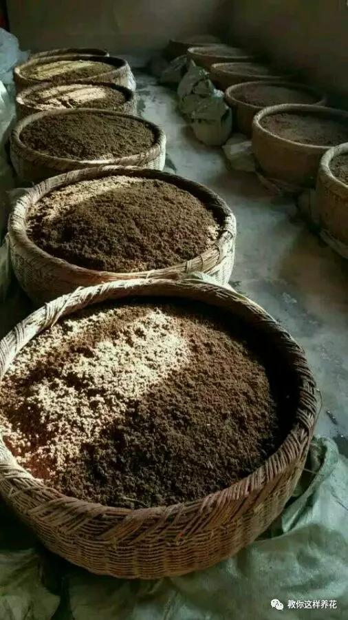 给花浇白醋会怎么样,给花浇营养液后叶子黄了