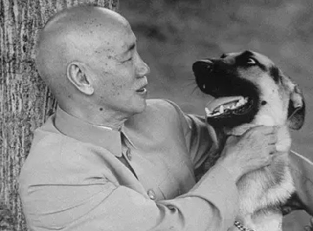 蒋介石暮年的尴尬难言：尿袋傍身，夫妻险失和，洋医加速其死亡