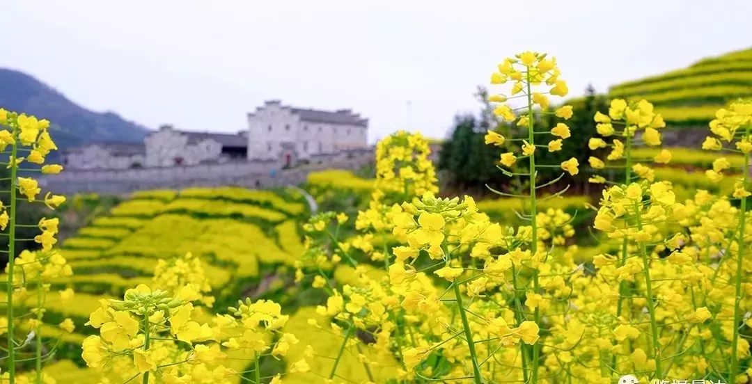 周末玩洱海,假期去大理洱海旅游