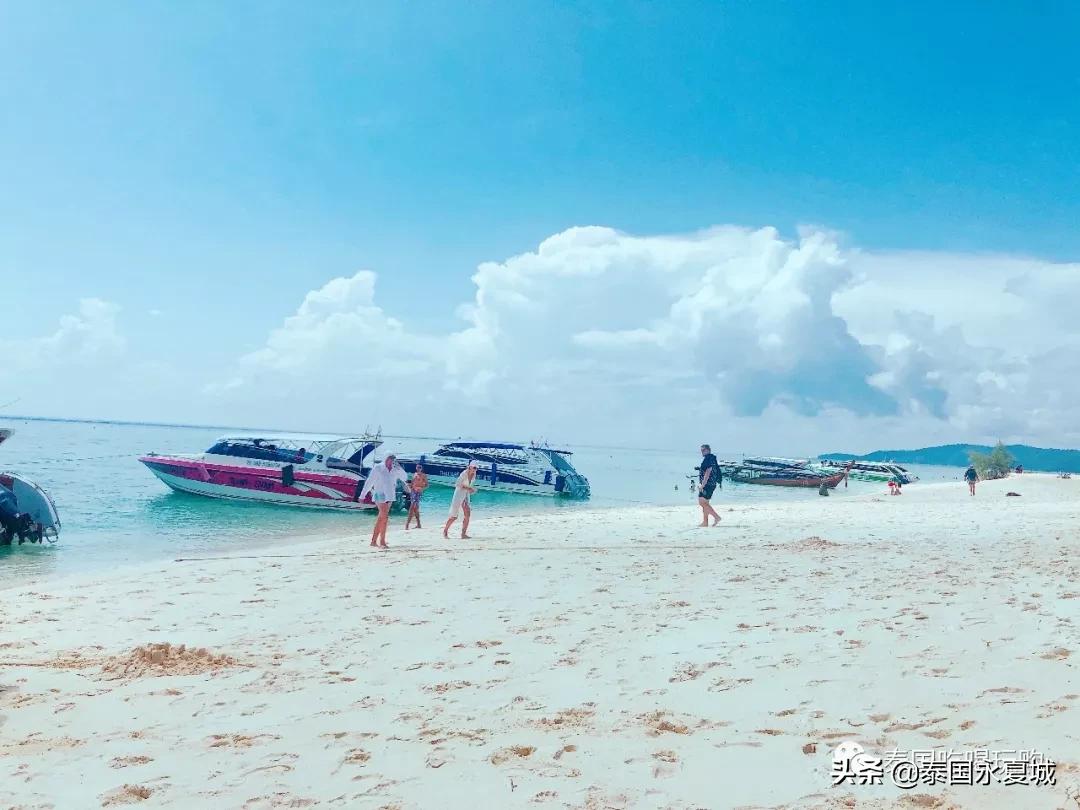 飞去热带的岛屿游泳,飞去热带的岛屿潜水