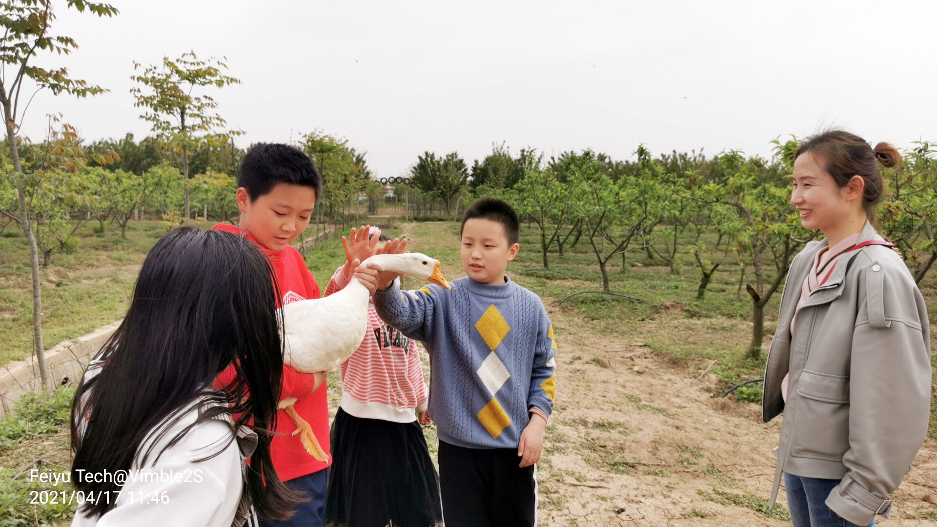 野趣大自然亲子农场攻略一日游,周末驾到