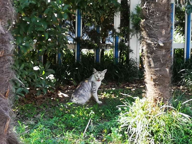 关河令朗诵视频,宋词关河令100首