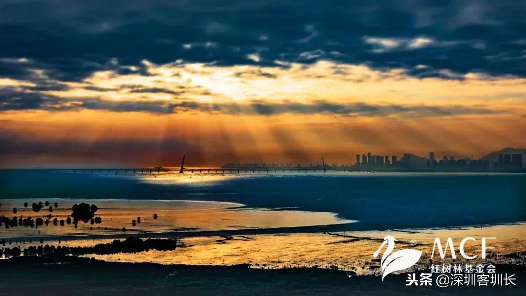 深圳湾是深圳湾口岸吗,什么是深圳