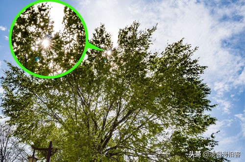 光源拍星芒效果,怎样拍出光芒四射的星芒效果