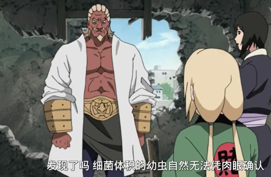 火影轩辕众结局,火影里的各种组织