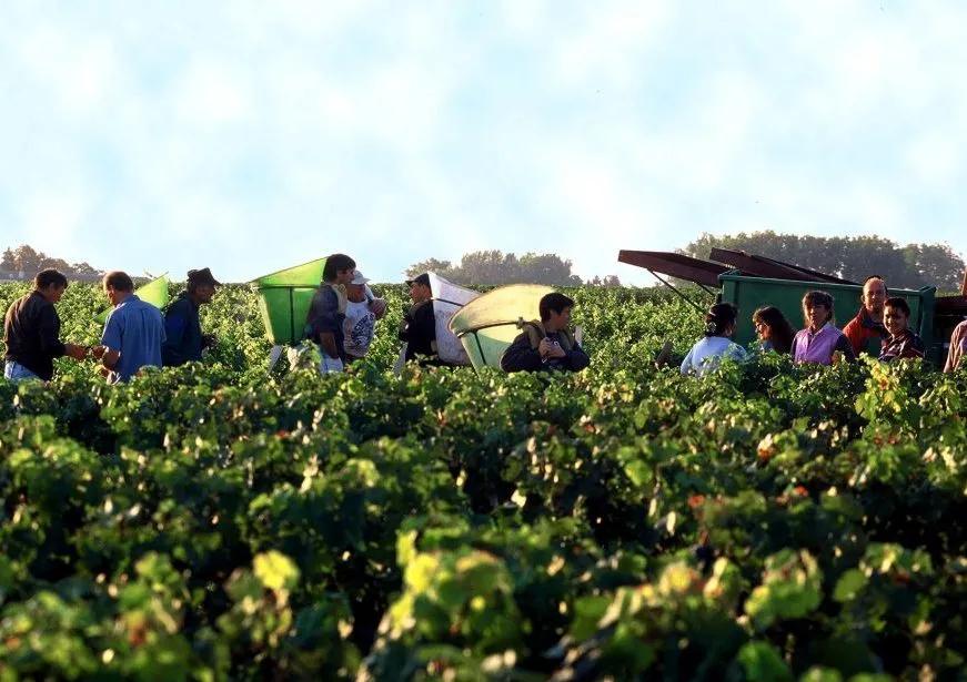 喝了那么多年白酒你喝对了吗,喝了那么多年酒你会怎么样