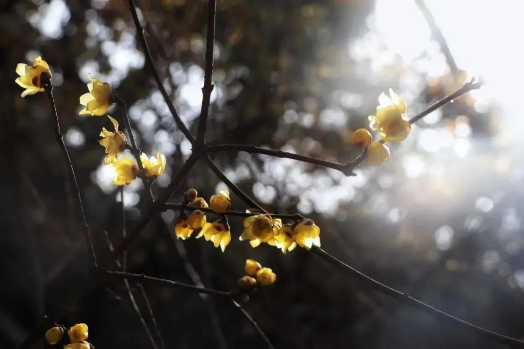 每周摄影作品全集,摄影作品展活动4k视频