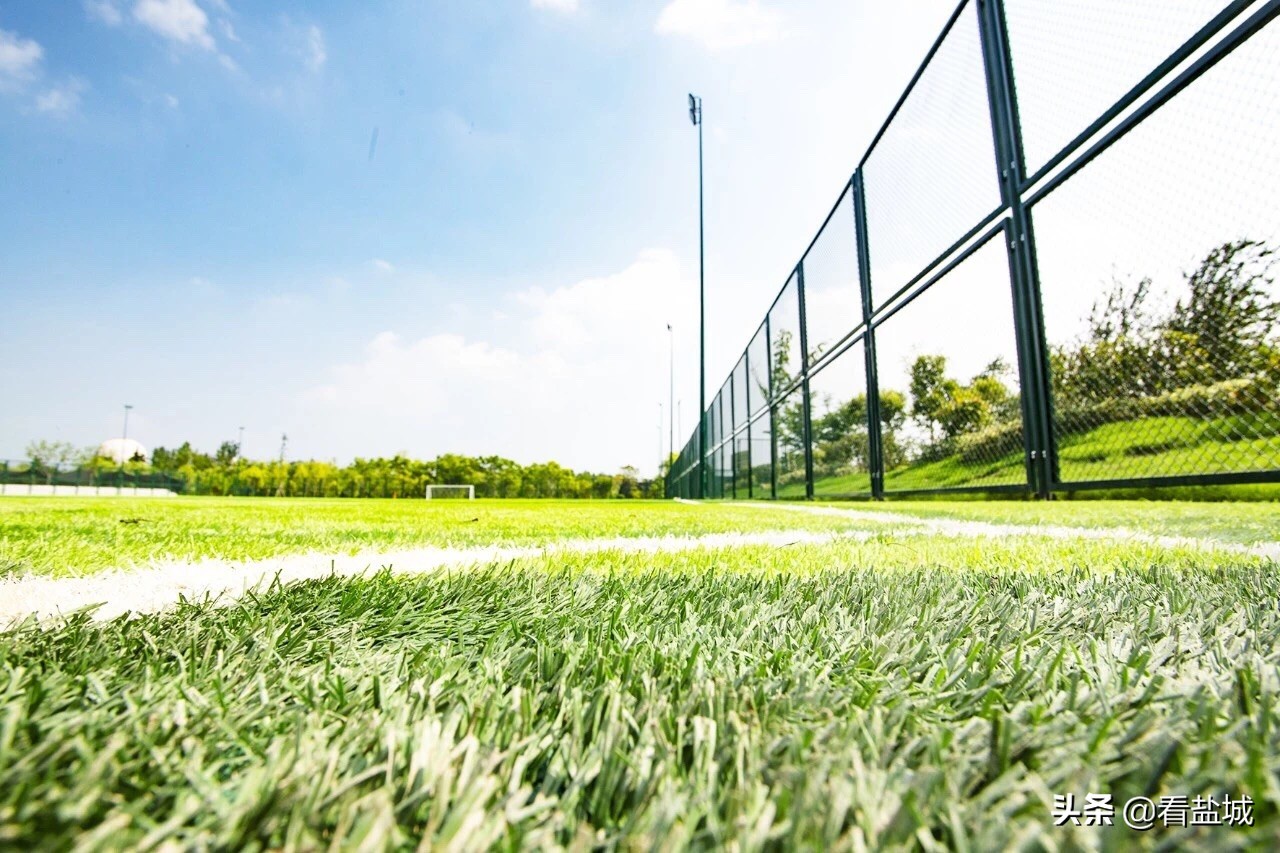 射阳室内体育场,射阳哪里有运动场