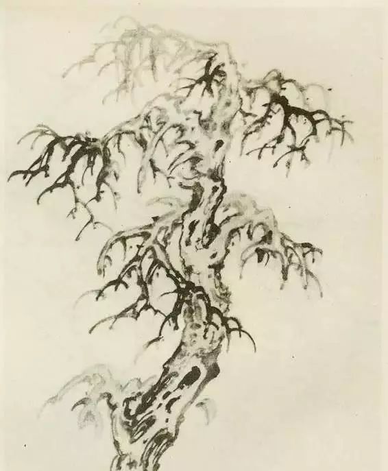 怎样画树画得好看,怎么画树最简单而且还最好看