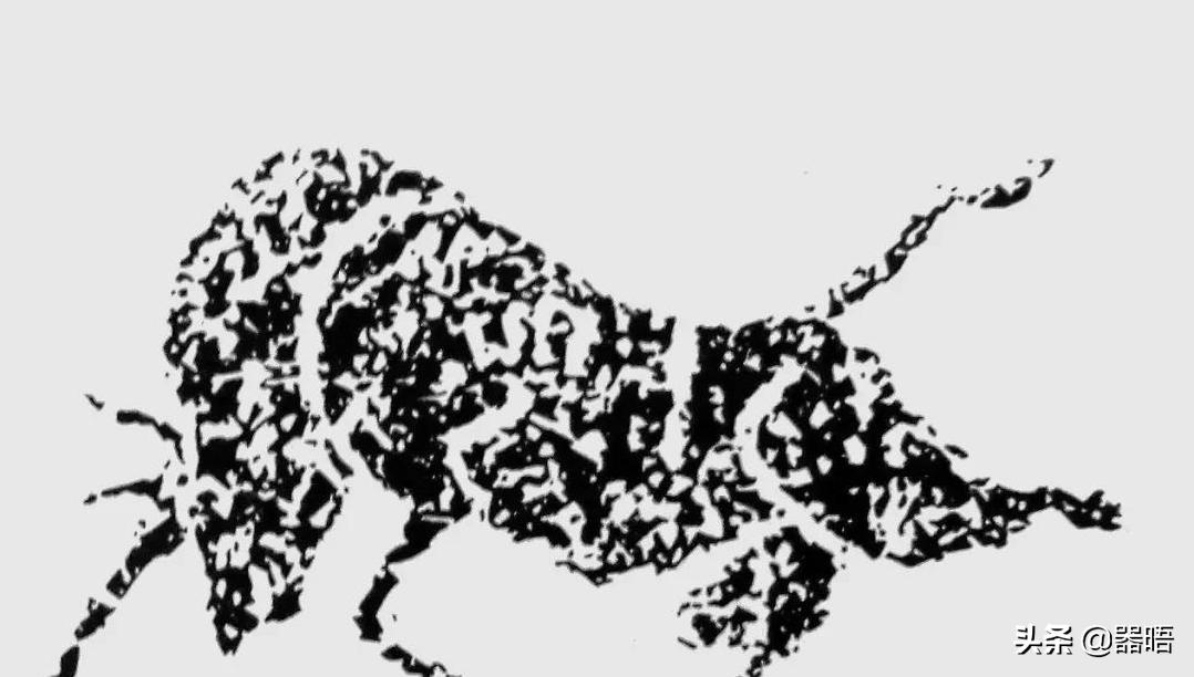 牛年说人与牛:牛气与人气