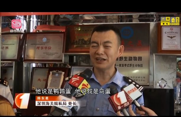 腰缠万贯！深圳女子腰缠624条金项链入关被查，总价89万