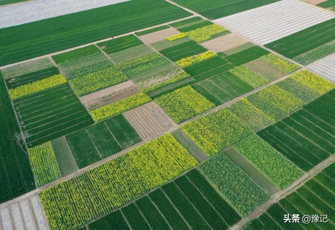 来过才知道东北的夏天别有特色,来过才知道美不美