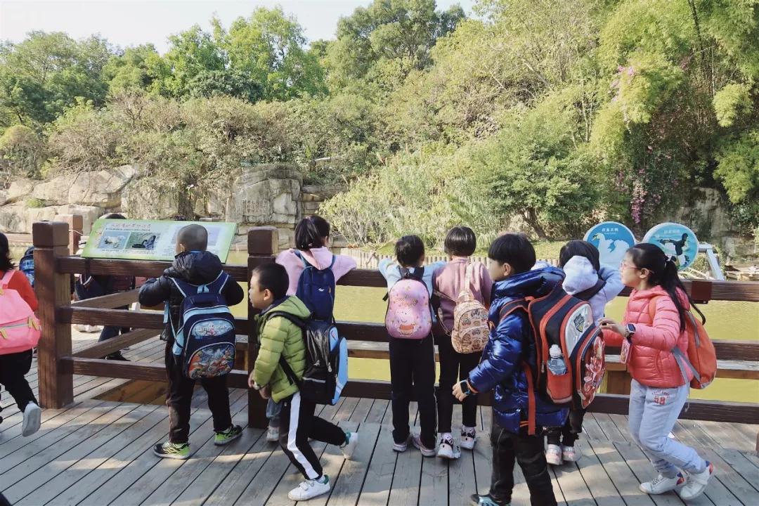 在动物园散步才是正经事|暴走福州