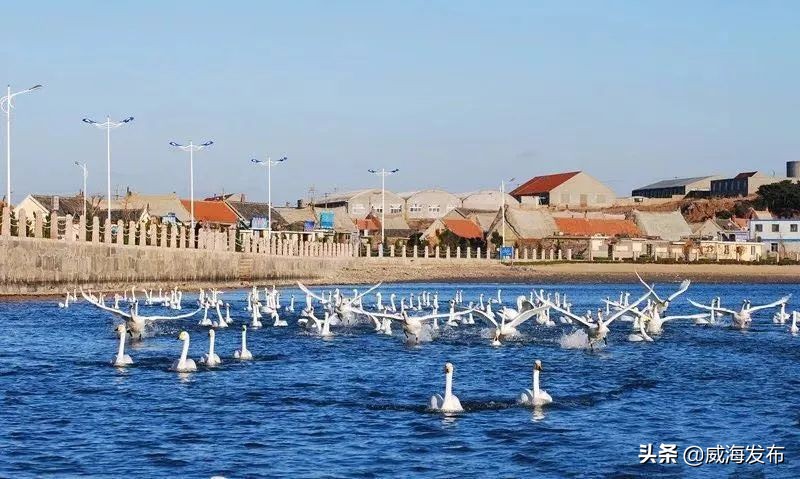 威海国际机场将开新航线！还有个好消息