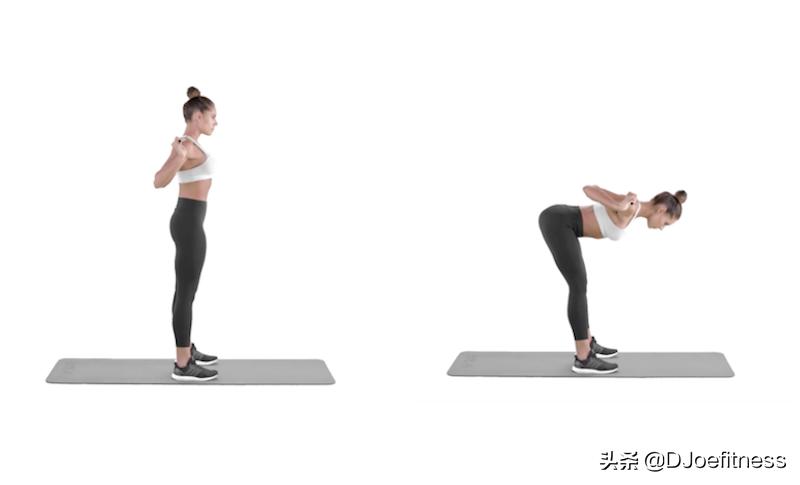 女性背部力量训练,女性背部锻炼健身动作