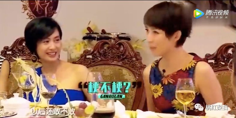 香江美人传奇李嘉欣,香江美人传奇洪欣