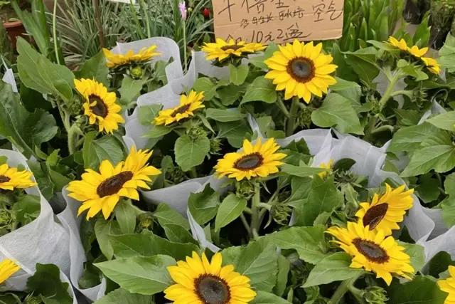 广州购物买衣服攻略,广州旅游购物攻略