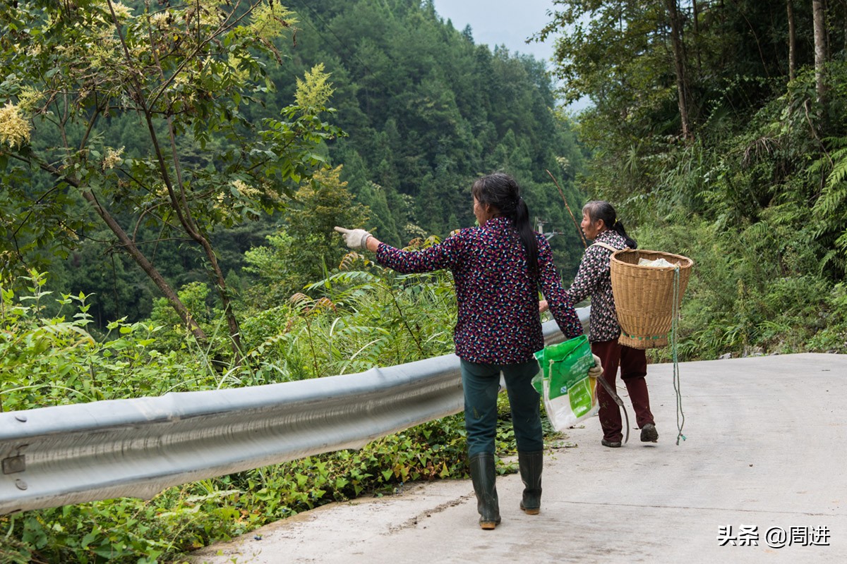 这种果子的果肉酷似一条虫子,野外发现一种奇怪的野果