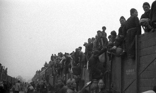 1942河南惨痛的历史悲剧,1942年河南亲历者