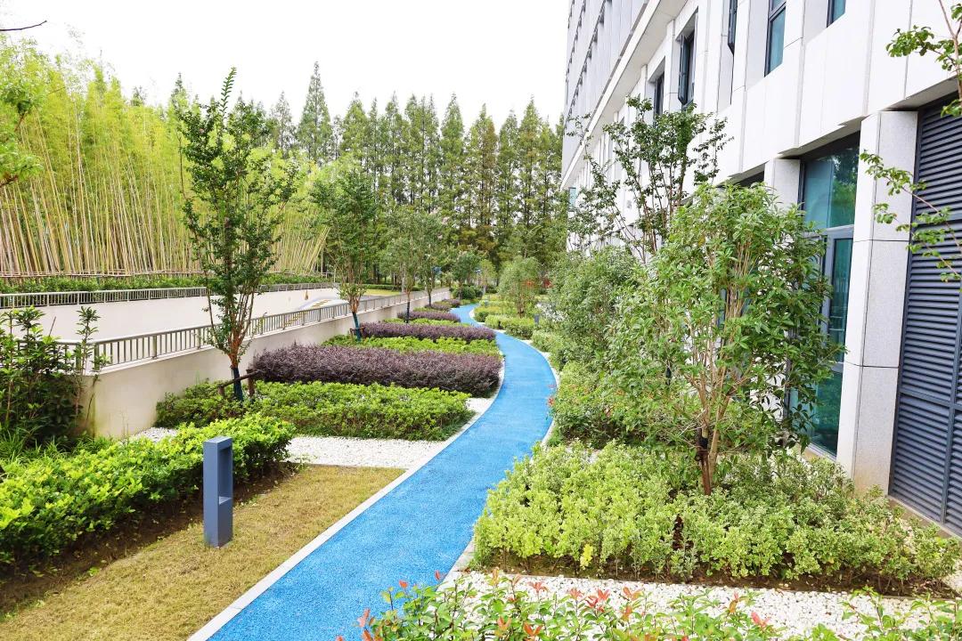 沪上“花园式”工地办公是怎样的体验？来看看这个白玉兰奖工程吧