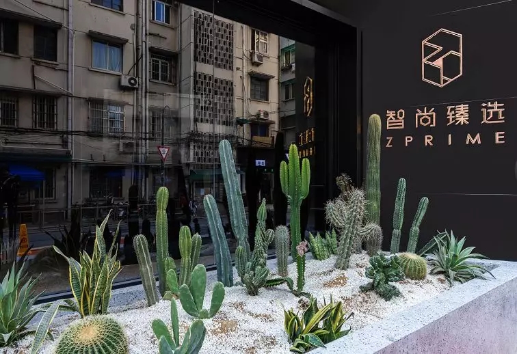 布丁提速|劲旅关注