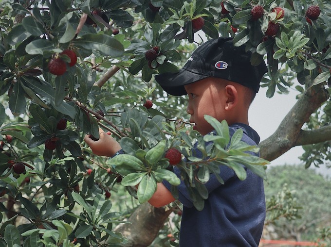 火山岛旅游攻略自由行包车,火山岛三天两晚游
