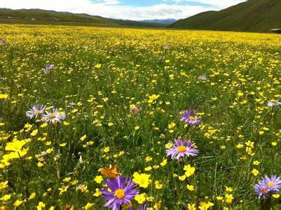 暂离城市的喧嚣，来拥抱若尔盖大草原，湖在天上，天在湖中