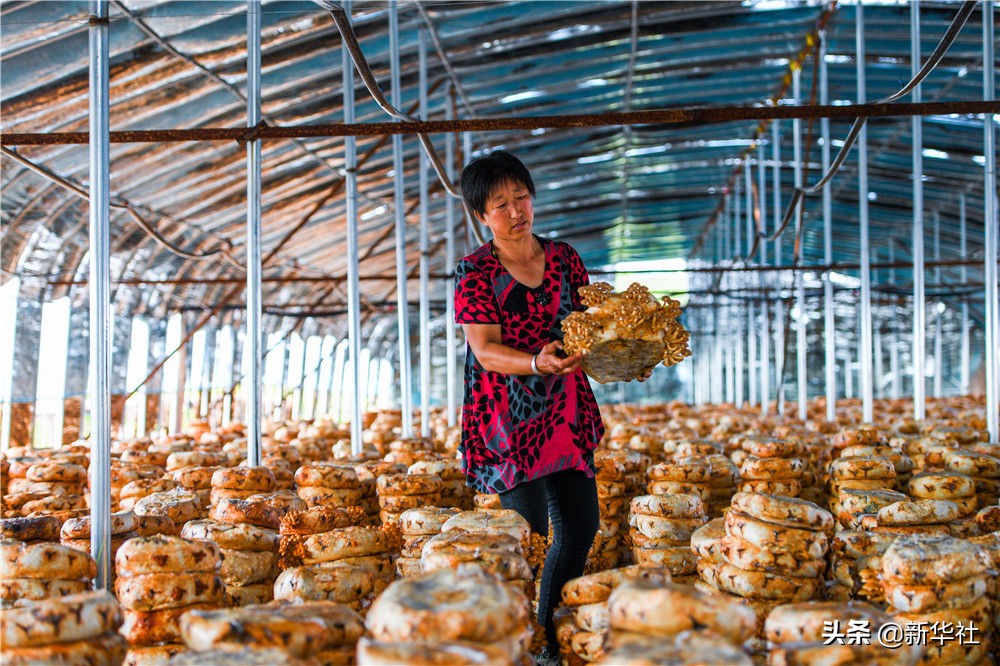 小康不是梦——鄂伦春人的千年跨越