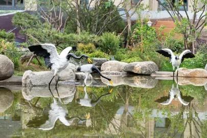 遵化市小镇,遵化市风情小镇