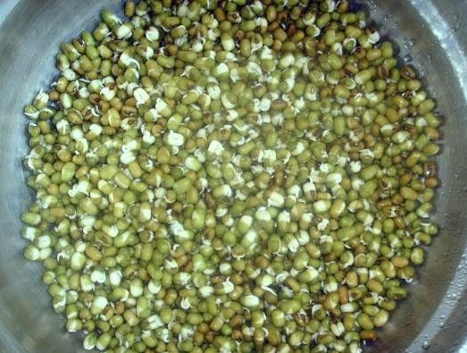 生豆芽新方法不长根的小妙招,怎样在家生豆芽简单的方法