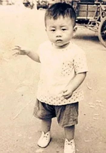 水手郑智化星星点灯歌词,郑智化水手dj劲爆抖音版星星点灯