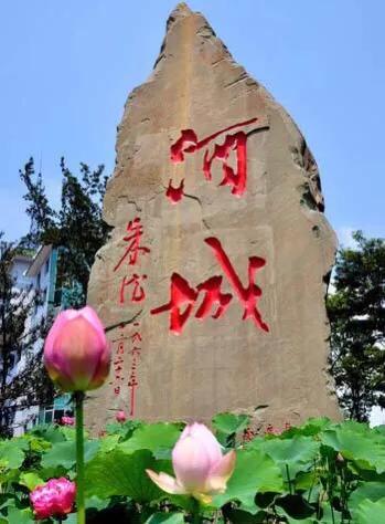 赖高淮·赖公老窖｜六大优势