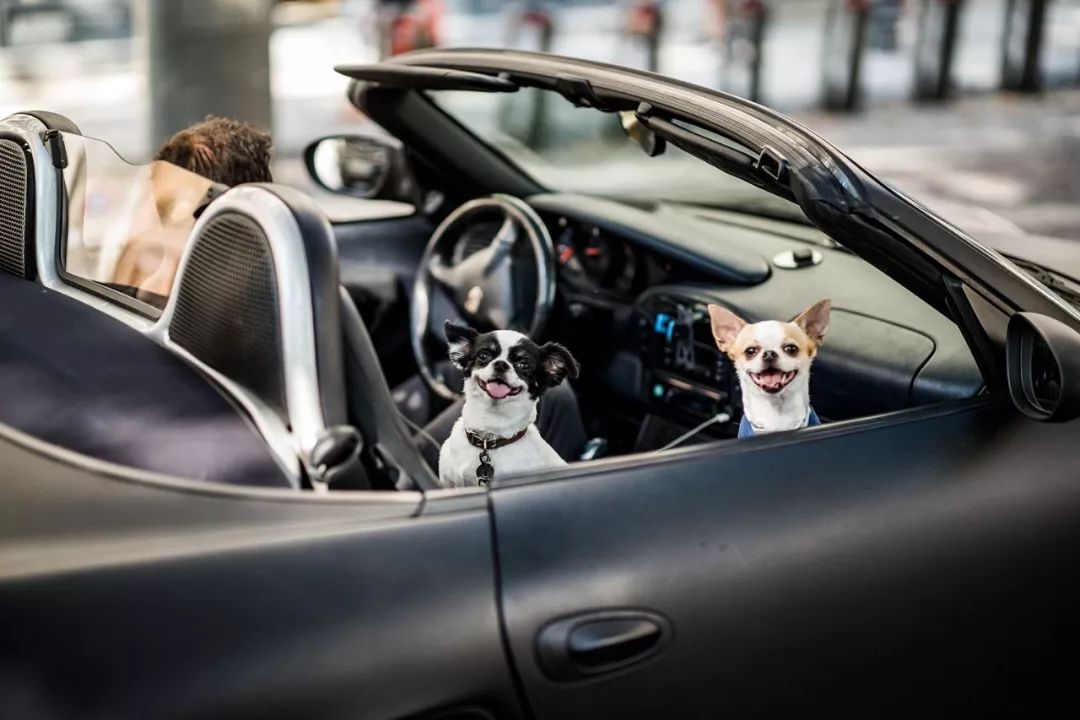 值得新手入门的徕卡相机,目前最值得入手的徕卡相机