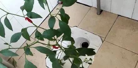 返校的路上在想什么,在返校的路上你在想什么