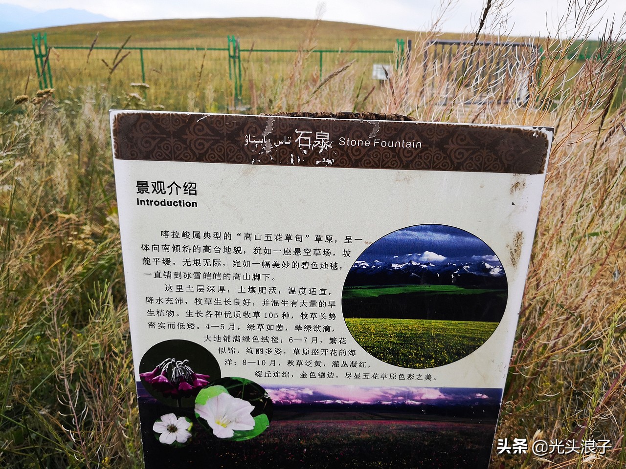 世界自然遗产地喀拉峻大草原,来新疆感受大自然的喀拉峻大草原